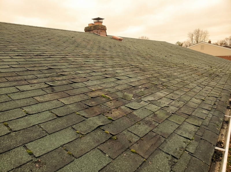 Worn residential roof with curling shingles and moss growth